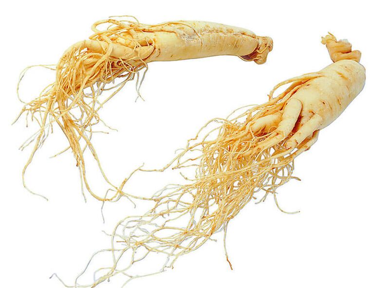 потенциал үчүн Ginseng тамыры