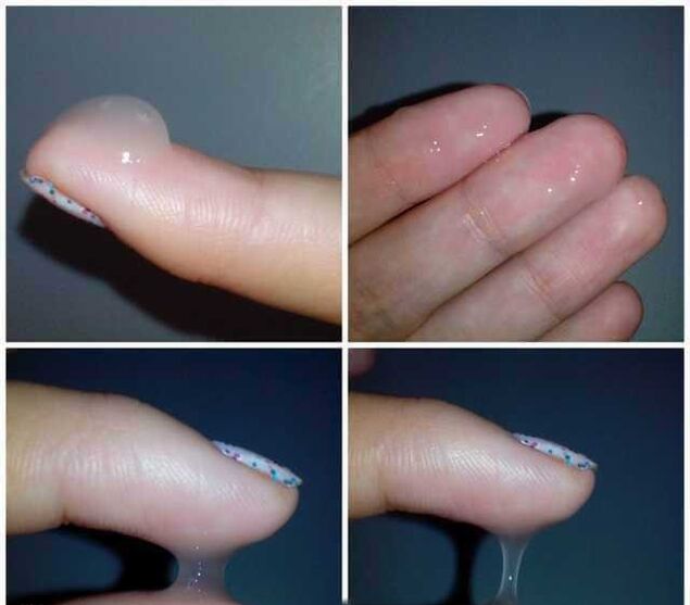 дүүлүгүү учурунда эркектин уруктук алдындагы суюктугу